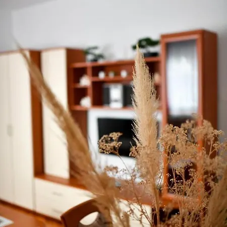 公寓 With Parking Space - 5088